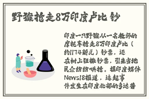 精品欧美一区免费观看α√